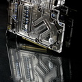 Monarch-089.jpg