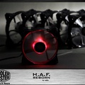 HAF-reborn-017