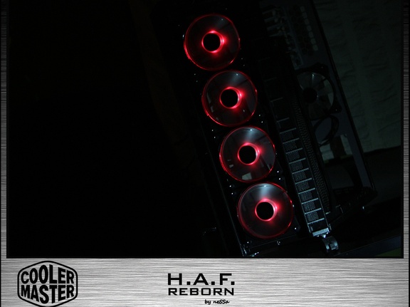 HAF-reborn-170
