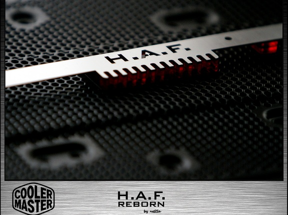 HAF-reborn-339