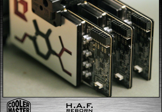 HAF-reborn-383