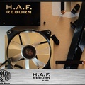 HAF-reborn-387