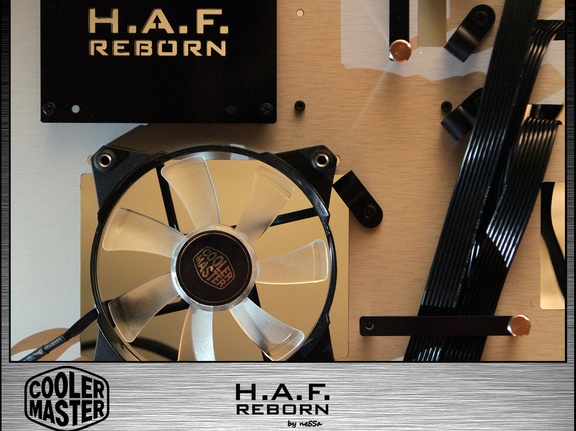 HAF-reborn-387