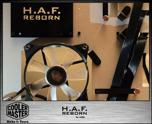 HAF-reborn-387.jpg