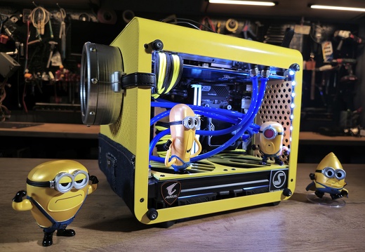 Minion-SS 